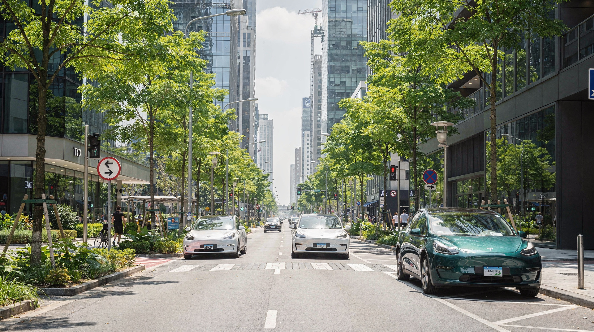 Sustainable City with Electric Vehicles