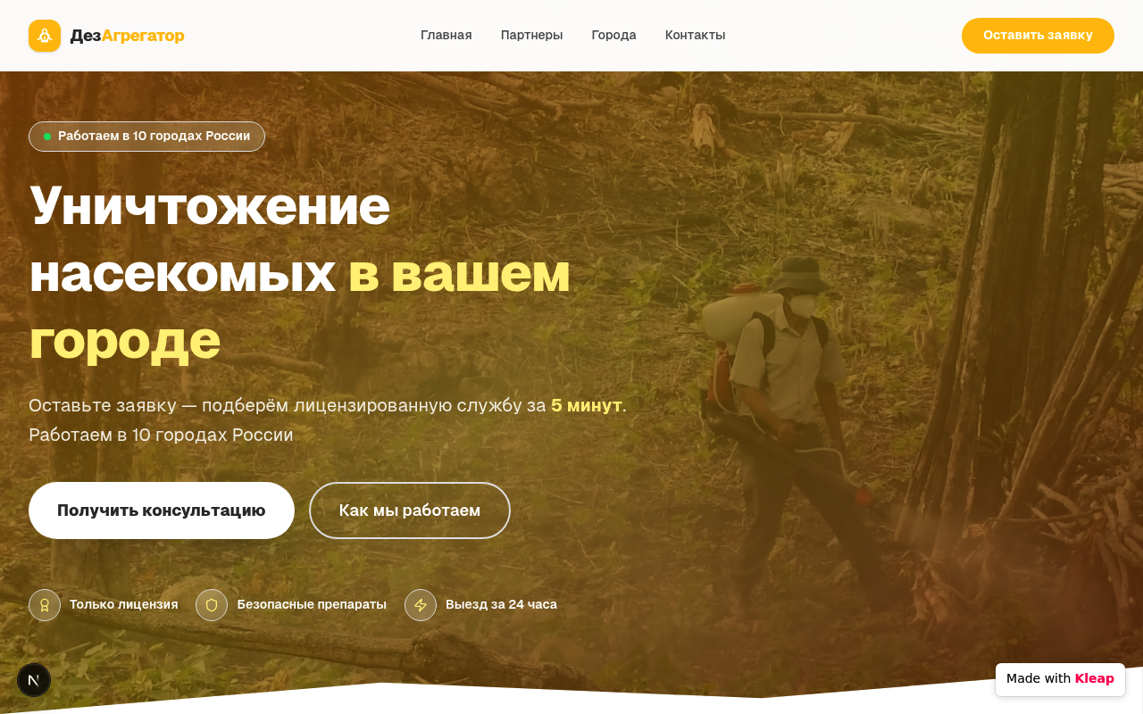 ДезАгрегатор website example